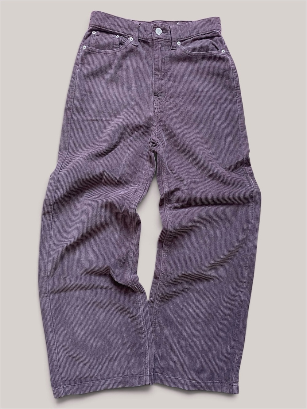 BDG Urban Outfitters High & Wide Corduroy Pants Brown Size 28